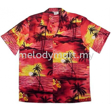Hawaii Man Shirt 1016 0201