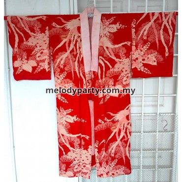 Kimono 41