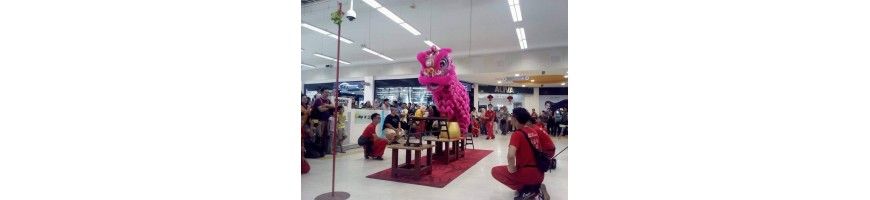 Lion & Dragon Dance