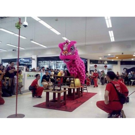 Lion & Dragon Dance
